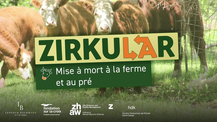 Cas 8: Mise à mort a la ferme et au pré