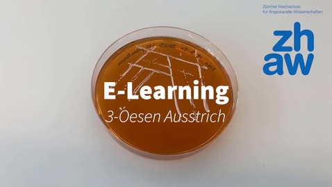 Thumbnail for Demo-Video: Einblick in den 3-Ösen-Ausstrich