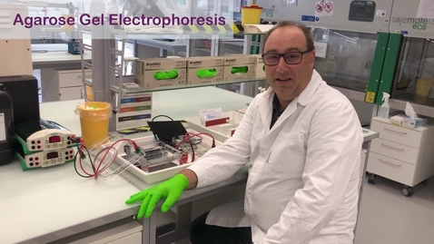 Thumbnail for Introvideo to Agarose Gel Electrophoresis