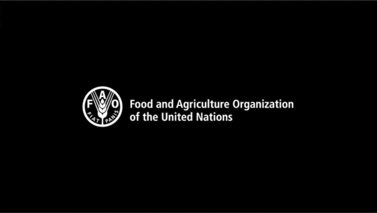 Sustainable Food
