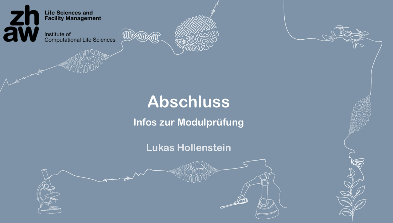 12 Abschluss - Aufzeichnung Online Unterricht