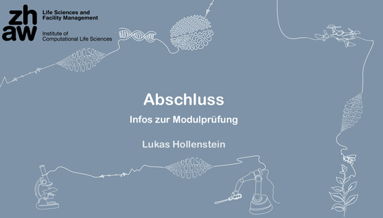 12 Abschluss - Aufzeichnung Online Unterricht