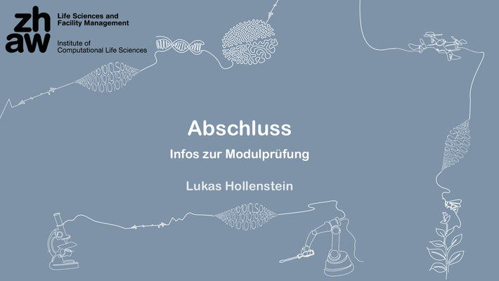 12 Abschluss - Aufzeichnung Online Unterricht