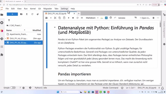 DVU PY 07 – Datenanalyse