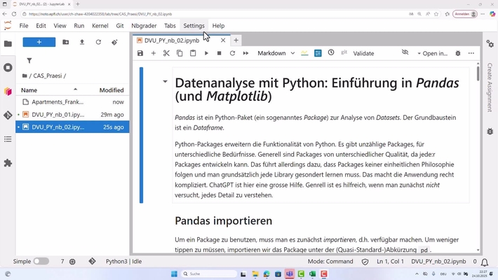 DVU PY 07 – Datenanalyse
