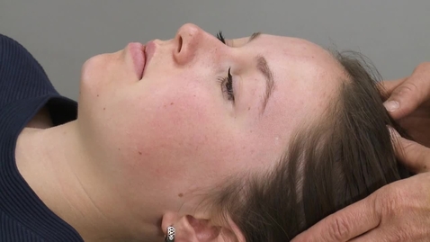 Thumbnail for Masseter&amp; Temporalis