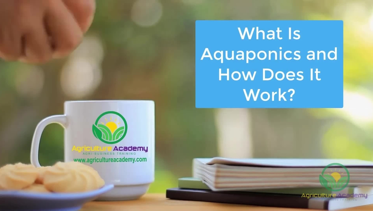 Aquaponics