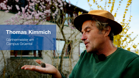 Thumbnail for Kimmichs Pladoyer für mehr Mandelbäume