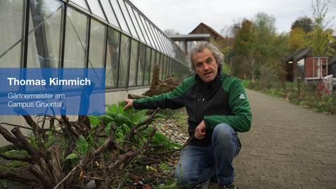 Thumbnail for Mit Totholz die Biodiversität fördern | Kimmichs Gartentipps