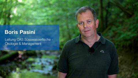 Thumbnail for CAS Süsswasserfische Europas - Ökologie &amp; Management