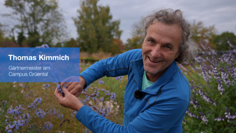 Thumbnail for Kimmichs Oktoberhighlight: Die bunte Strauchsalbeisammlung @ZHAW, Wädenswil