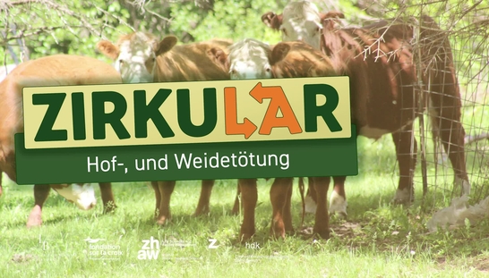 Fall 8: Hof-, und Weidetötung