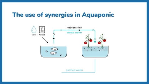 Thumbnail for MOOC: Aquaponics – the circular food production system