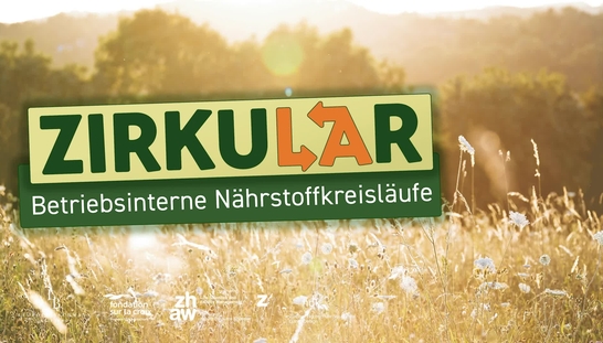 Fall 2: Wo die Liebe hinfällt – Betriebsinterne Nährstoffkreisläufe