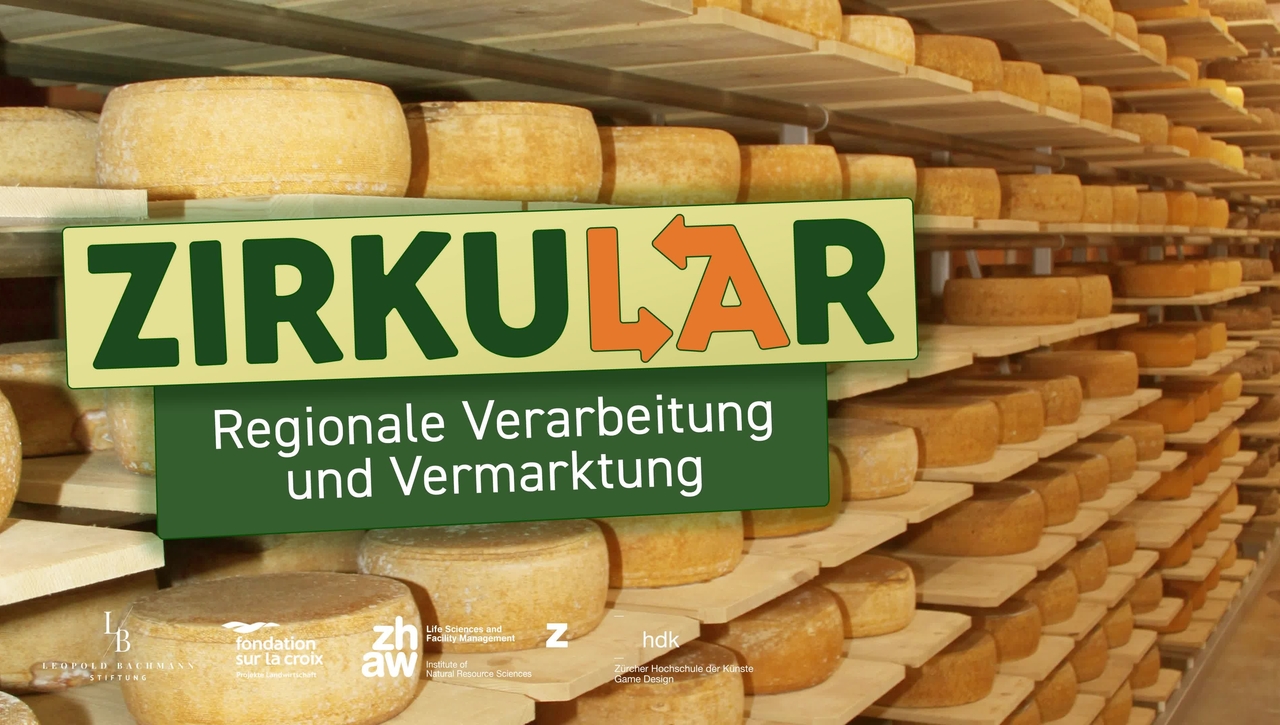 Fall 5: Illegale Entsorgung – Verarbeitung und regionale Vermarktung