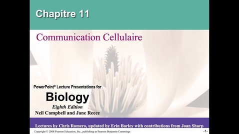 Thumbnail for Kristina Schoonjans - BIOENG-110 “Communication cellulaire”