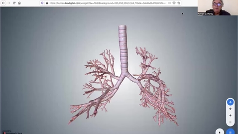 Thumbnail for 0.1.2022 sem 3 2, 2022 sem3 vidéo 2