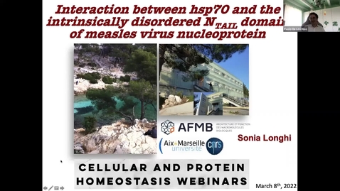 Thumbnail for Sonia Longhi: Interaction between hsp70 and the intrinsically disordered Ntail domain of measles virus nucleoprotein
