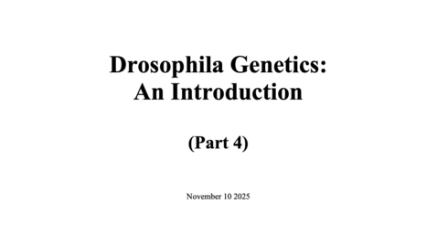 Thumbnail for Drosophila Genetics - 4 Mosaic MARCM