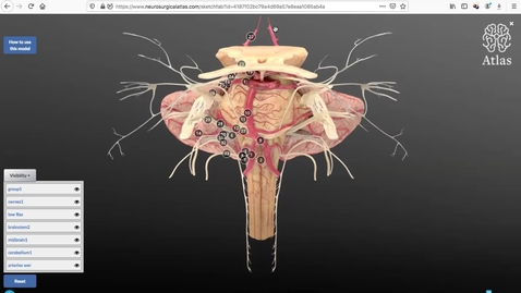 Thumbnail for 28.3, 2021 sem 14 vidéo 3