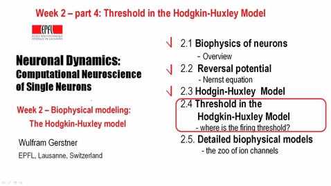 Thumbnail for 2.4 Threshold in the Hodgkin Huxley Model