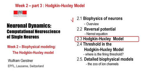 Thumbnail for 2.3 Hodgkin-Huxley Model
