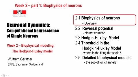 Thumbnail for 2.1 Biophysics of neurons