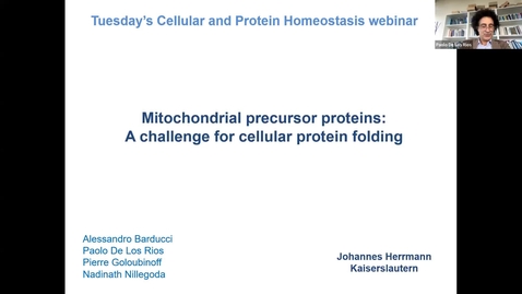 Thumbnail for Johannes Herrmann: Mitochondrial precursor proteins: a challenge for cellular protein folding