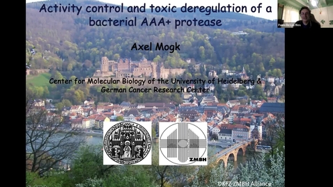 Thumbnail for Axel Mogk: Activity control and toxic deregulation of a bacterial AAA+ protease