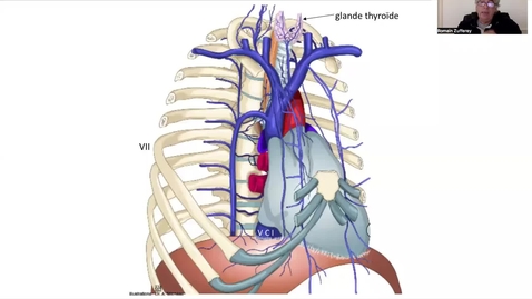 Thumbnail for 0.1.2022.7.2, sem7 v 2