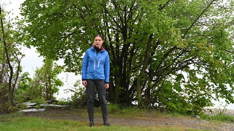 Thumbnail for Estimating the number of unlabeled trees