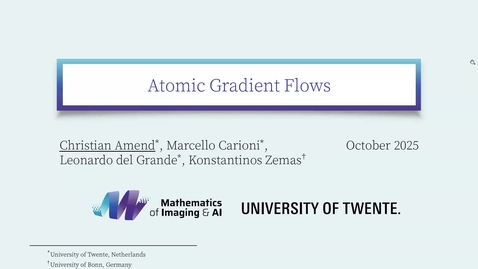 Thumbnail for Christian Amend. Atomic gradient flows