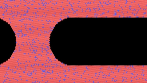 Thumbnail for brittle