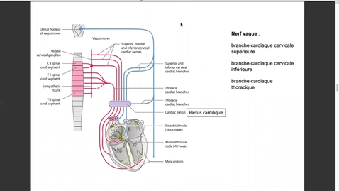Thumbnail for 27.4, 2021 semaine 13 vidéo 3
