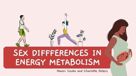 Thumbnail for Sex Differences in Energy Metabolism