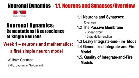 Thumbnail for 1.1 Neurons and synapses: Overview