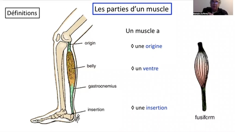 Thumbnail for 0.1.2022.3.1, 2022 sem 3 vidéo 1