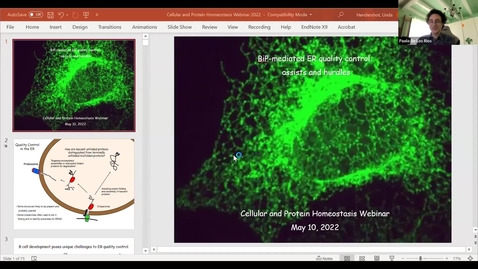 Thumbnail for Linda Hendershot: BiP-mediated ER quality control: assists and hurdles
