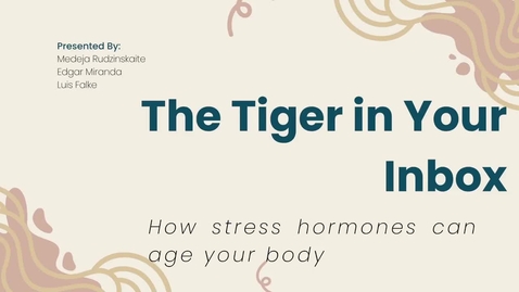 Thumbnail for The Tiger in Your Inbox