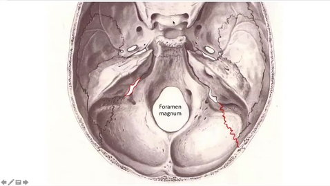 Thumbnail for 28.2, 2021 sem 14 vidéo 2