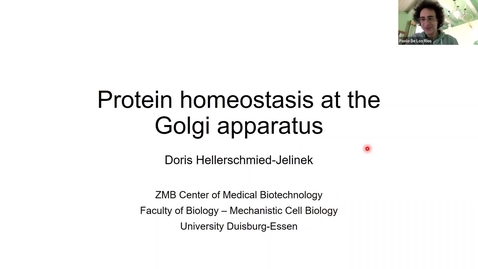 Thumbnail for Doris Hellerschmied: Protein homeostasis at the Golgi apparatus