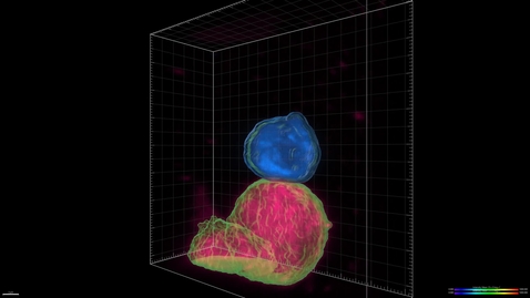 Thumbnail for Immune Synapse Finder