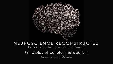 Thumbnail for Week 4-1 Principles of cellular metabolism