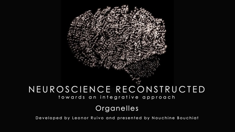 Thumbnail for Week 1-2 The Cytoplasm the Cytoskeleton and Organelles