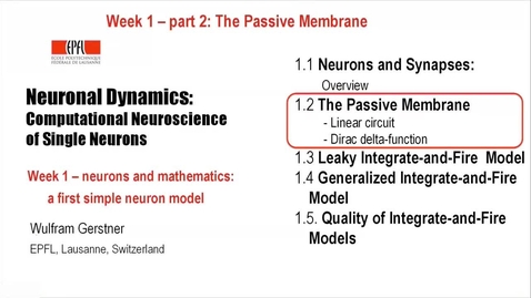 Thumbnail for 1.2 The Passive Membrane