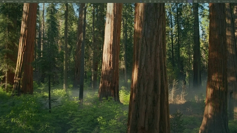 Thumbnail for CS-119a Introduction à la programmation en C | Printemps 25