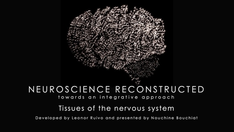 Thumbnail for Week 1-4 Components an Vasculature of the nervous system