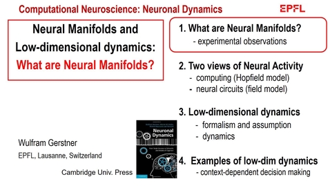 Thumbnail for What are Neural Manifolds?