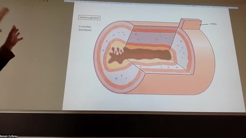 Thumbnail for 0.1.2022, vidéo jeudi sem 8
