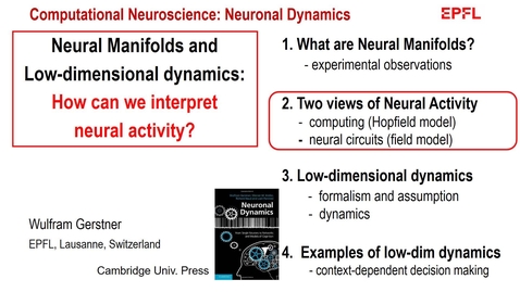 Thumbnail for Two views of neural activity in the brain